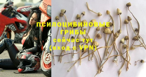 бошки Кинешма