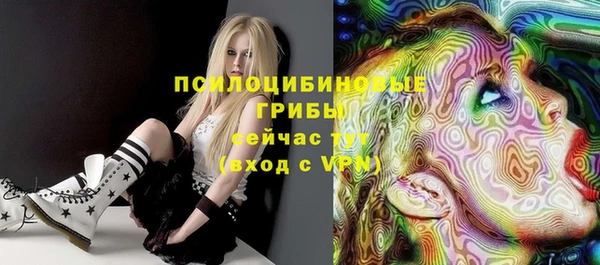 бошки Кинешма