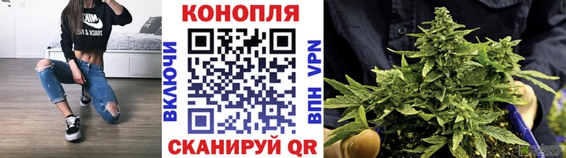 Купить где Гаджиево Бошки Шишки планчик